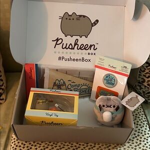 Pusheen Box with Gray and Tan Plush and Vinyl Toy